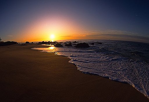 海滩,日出,湾,卡波圣卢卡斯,北下加利福尼亚州,墨西哥