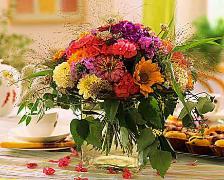 生日花束,百日菊,大丽花,福禄考属植物