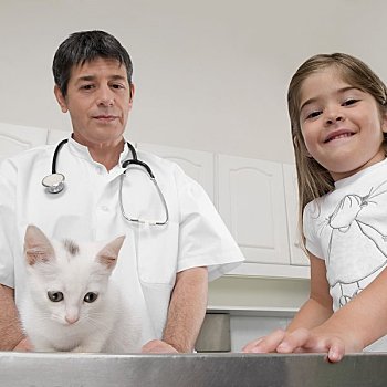 兽医,女孩,猫