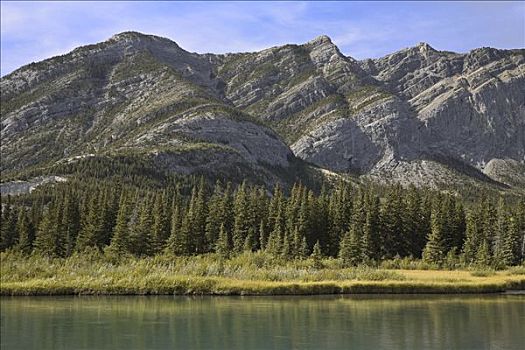 河,树林,山峦,弓谷省立公园,艾伯塔省,加拿大