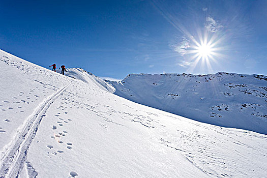 越野滑雪者,向上,山,高处,山谷,意大利,欧洲