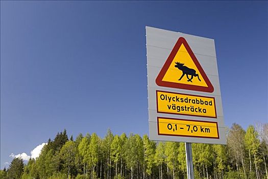 警告标识,麋鹿,瑞典,斯堪的纳维亚,欧洲
