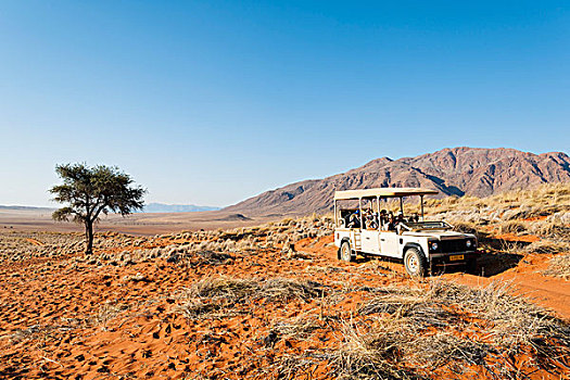 自然保护区,纳米比亚,非洲,吉普车,旅游