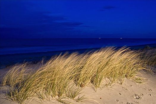 傍晚,海洋,波罗的海岸,梅克伦堡前波莫瑞州,德国