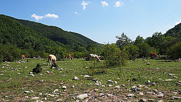 中阳风光