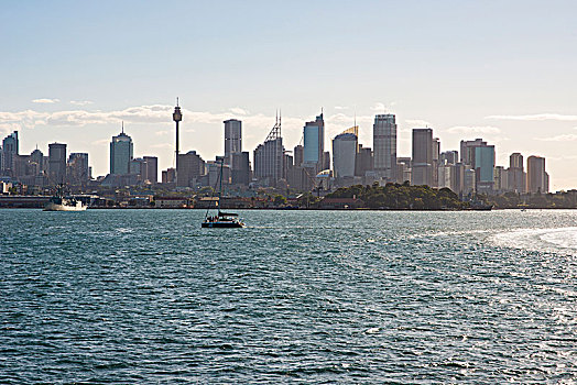 风景,悉尼,天际线