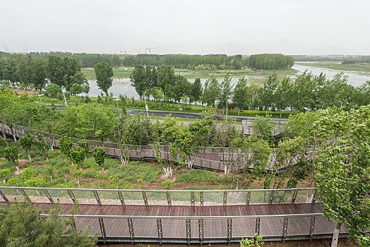 2019中国北京世园会的园林道路建筑