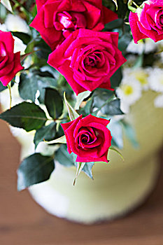 玫瑰花,红色,花瓶