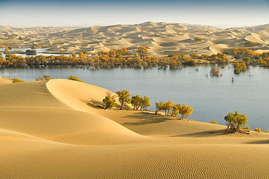 沙漠腹地的湖泊