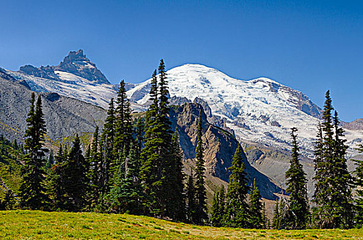 美国,华盛顿,雷尼尔山国家公园,雷尼尔山,小