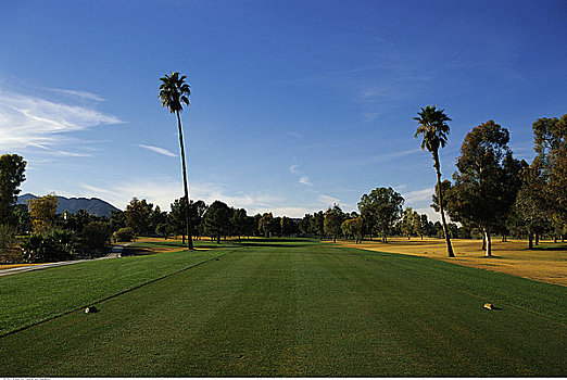 高尔夫球场,凤凰城,亚利桑那,美国
