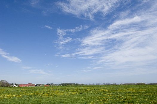 放牧,风景