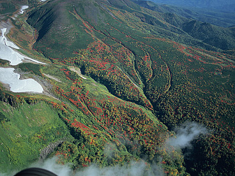 秋叶,山