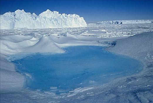 蓝色,水池,冰山,东方,南极