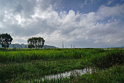 户外风景