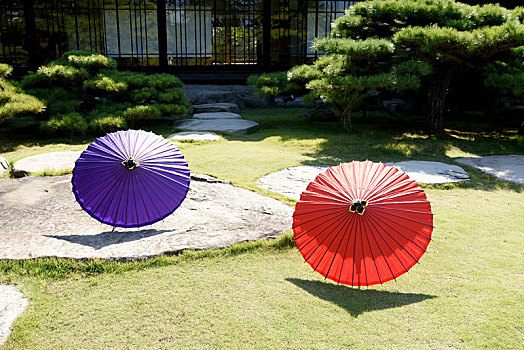 日式庭园,传统,日本,伞