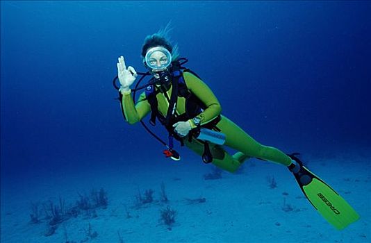 潜水者,展示,大巴哈马岛,岛屿,巴哈马,加勒比海