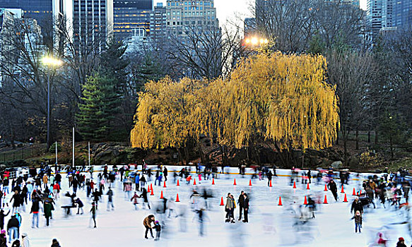 滑冰,中央公园,曼哈顿,纽约,美国,北美