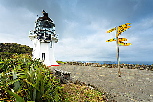 路标,远处,灯塔,雷因格海角,北国,区域,新西兰,大洋洲