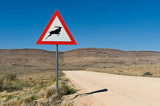 交通标志,警告,大羚羊,羚羊,道路,区域,纳米比亚,非洲
