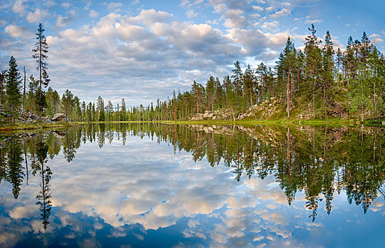 松树,松属,云,石头,反射,湖,芬兰,欧洲