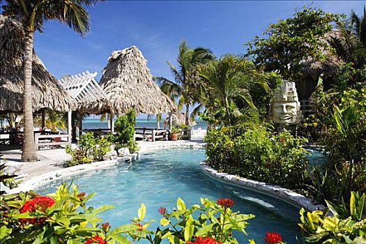 酒店,游泳池,海洋,佩特罗,岛屿,伯利兹,中美洲,加勒比海