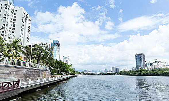 三亚湾河西港口红树林