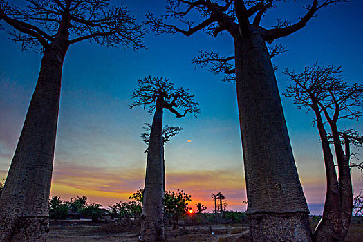 madagascar马达加斯加