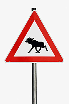 危险标志,警告标识,驼鹿