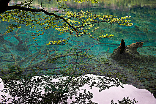 九寨沟五花海风景