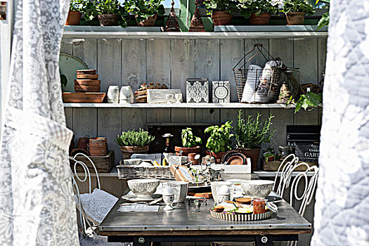 早餐桌,正面,架子,盆栽,药草,花园,器具,晴朗,温室