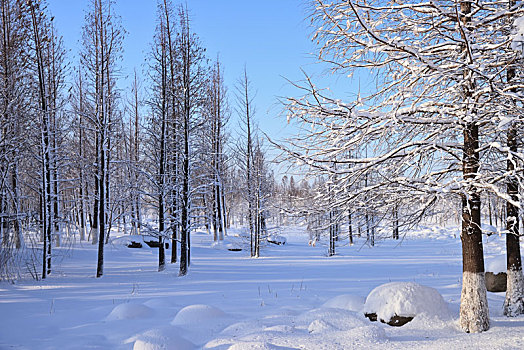 雪景