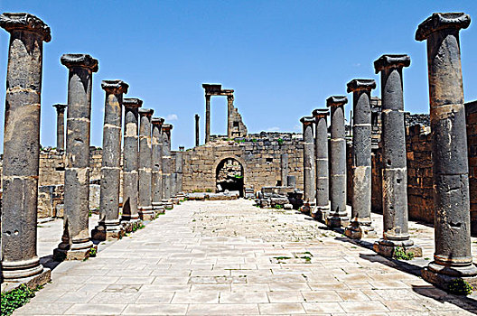 小路,柱子,挖掘,场所,罗马,遗址,波斯拉,叙利亚,亚洲