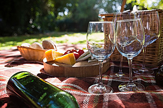 葡萄酒杯,食物,野餐毯,特写