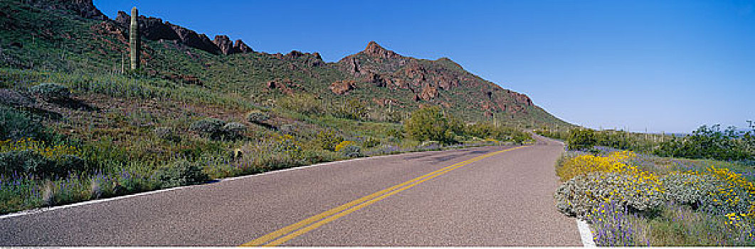 公园,道路,顶峰,州立公园,亚利桑那,美国
