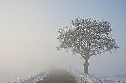 道路,冬季风景,靠近,黑森林,巴登符腾堡,德国