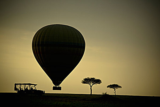 剪影,手推车,热气球,树,日落,马赛马拉,肯尼亚
