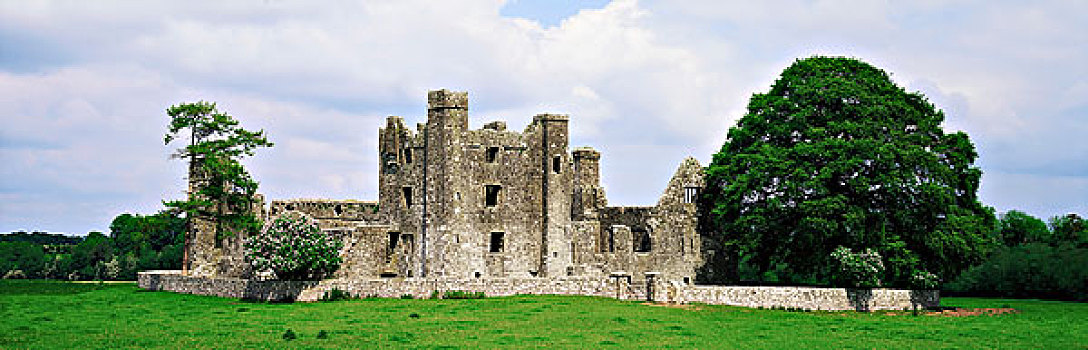 教堂,米斯郡,爱尔兰,12世纪