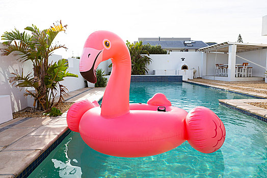 粉红火烈鸟,鸟,形状,充气圈,漂浮,游泳池,后院
