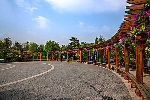 杨州瘦西湖园林花卉长廊