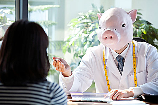 猪,头部,书桌