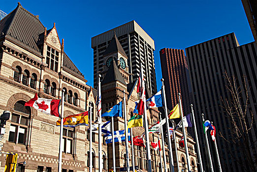 加拿大,省,旗,飘扬,户外,老市政厅