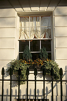 特写,户外,乔治时期风格,窗户,窗台花箱,锻铁,栏杆