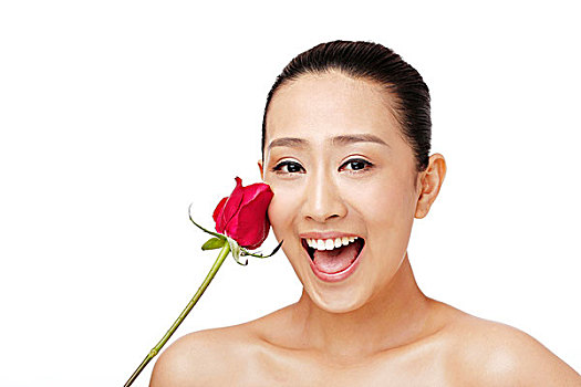 红蔷薇电视剧全集免费播放