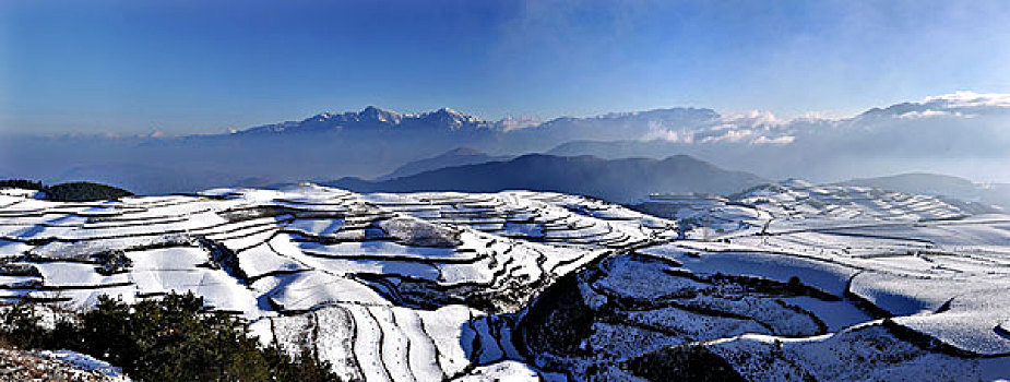 云南东川雪后,锦绣园,红土地