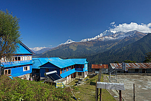 茶馆,山谷,山峦,背景,安娜普纳,南,安娜普纳保护区,喜马拉雅山,尼泊尔