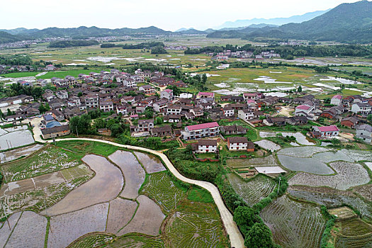 江西金溪,美丽乡村春意浓