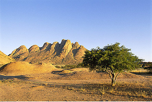 山峦,树,纳米比亚