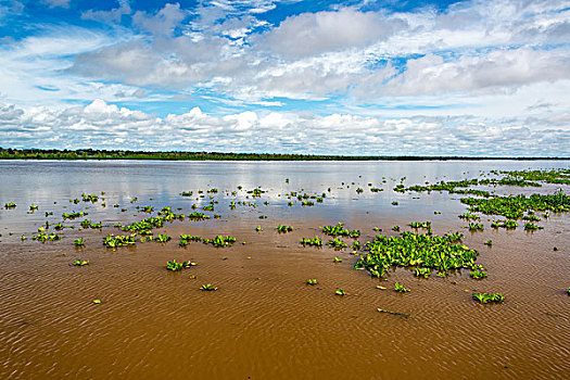 亚马逊河,风景