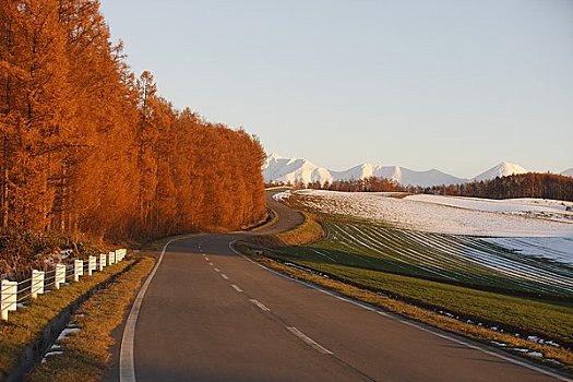 道路,十胜岳山